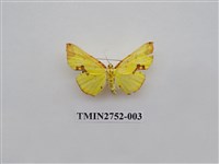 藏品(尺蛾319)的圖片